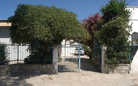 Bougainvillea